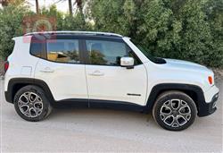 جيب رينيجيد